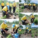 กิจกรรมวันต้นไม้ประจำปีของชาติ พ.ศ.2564