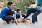 ออกให้บริการฉีดวัคซีนป้องกันโรคพิษสุนัขบ้า